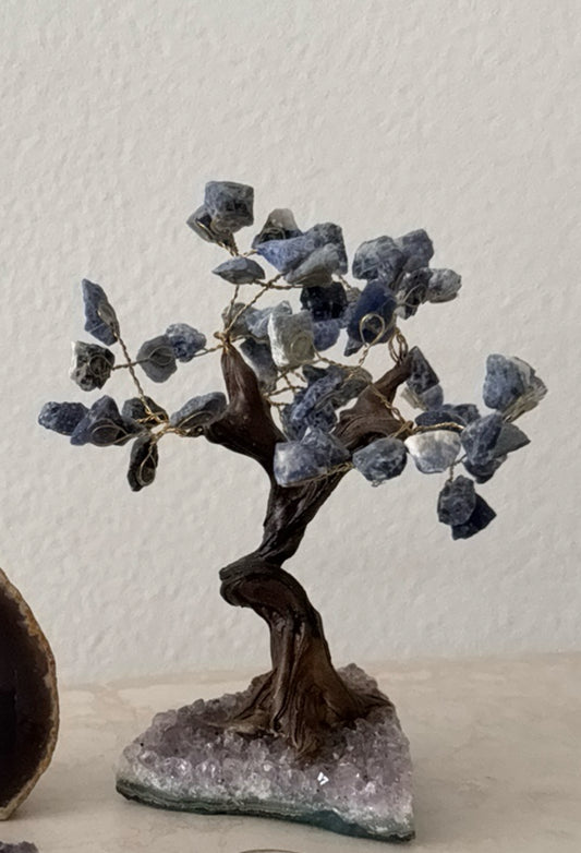Sodaliet boom met amethist