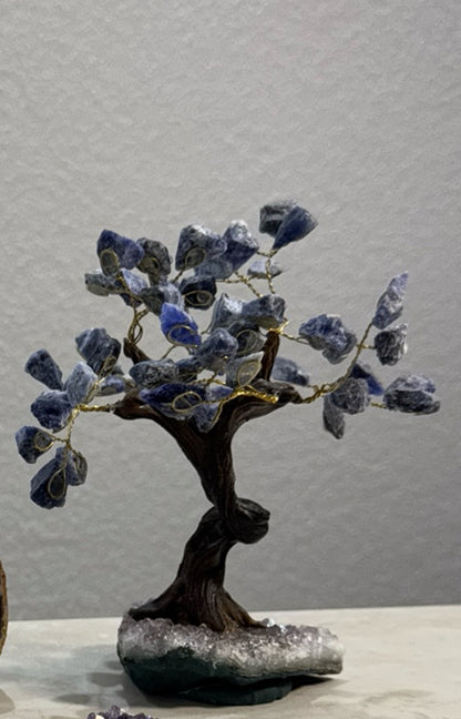 Sodaliet boom met amethist